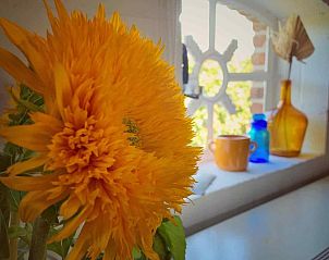 Guest house 292208 - Holiday property Achterhoek - DG1379