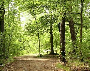 Bosrijke wandelpaden rondom Vakantiehuisje in Hengelo, Achterhoek, ideaal voor natuurliefhebbers.