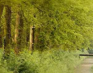 Pittoreske bosweg nabij Vakantiehuisje in Hengelo, Achterhoek, perfect voor wandeltochten.