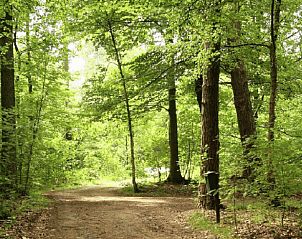 Omringende natuur van Huisje in Hengelo in de groene Achterhoek.