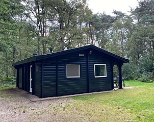 Rustiek vakantiehuisje in Hengelo met bosrijke omgeving in de Achterhoek, Gelderland.