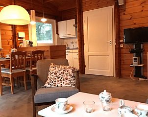 Knusse woonkamer van Vakantiehuisje in Hengelo, Achterhoek, met moderne voorzieningen.