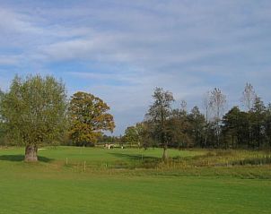 Uitgestrekte groene velden nabij Vakantiehuisje in Hengelo, Achterhoek, ideaal voor wandelingen.