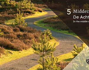 Verken de prachtige landschappen van de Achterhoek, nabij Unbrick One in Hengelo, Gelderland, voor een rustige ontsnapping.