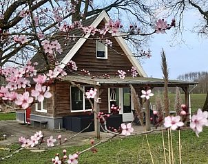 Vakantiehuisje in Hengelo GLD, Varssel, Bronckhorst omgeven door bloesems in de Achterhoek, Gelderland.