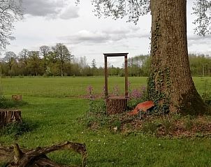 Rustige natuur rondom Vakantiehuisje in Hengelo GLD, Varssel, Bronckhorst, Achterhoek, Gelderland.