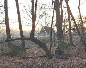 Bosrijke omgeving van Vakantiehuisje in Hengelo GLD, Varssel, Bronckhorst, Achterhoek, Gelderland.