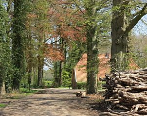 Verblijf 292222 - Vakantiewoning Achterhoek - Vakantiehuisje in Hengelo Gld