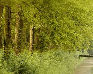 Verblijf 292222 - Vakantiewoning Achterhoek - Vakantiehuisje in Hengelo Gld