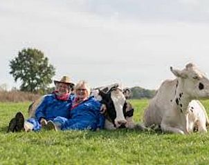 Guest house 292226 - Holiday property Achterhoek - Huisje in Hengelo (Gld)