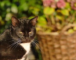 Guest house 292226 - Holiday property Achterhoek - Huisje in Hengelo (Gld)