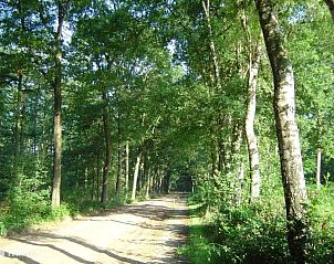 Guest house 292235 - Holiday property Achterhoek - Wezel, fijne Finse bungalow