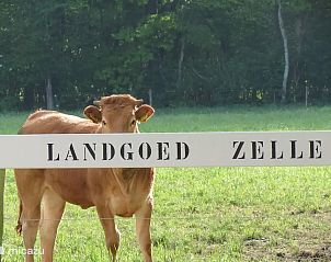 Guest house 292235 - Holiday property Achterhoek - Wezel, fijne Finse bungalow