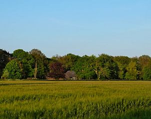 Guest house 292303 - Holiday property Achterhoek - Vakantiehuis in Harfsen