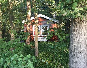 Gezellig vakantiehuis in Harfsen, Achterhoek, Gelderland, verscholen tussen de bomen.