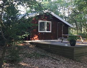 Houten terras bij Vakantiehuis in Harfsen, perfect voor buitenmaaltijden in Gelderland.