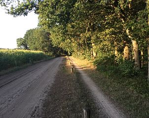 Landelijke zandweg nabij Vakantiehuis in Harfsen, perfect voor wandelingen in de Achterhoek.