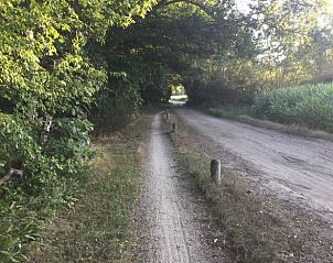 Slingerend pad langs het bos bij Vakantiehuis in Harfsen, ideaal voor natuurwandelingen.