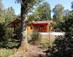 Verblijf 292306 • Vakantiewoning Achterhoek • Vakantiehuisje in Harfsen 