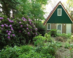 Verblijf 292311 - Vakantiewoning Achterhoek - Vakantiehuisje in Harfsen