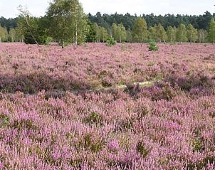 Verblijf 292311 - Vakantiewoning Achterhoek - Vakantiehuisje in Harfsen