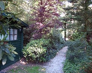 Verblijf 292311 - Vakantiewoning Achterhoek - Vakantiehuisje in Harfsen