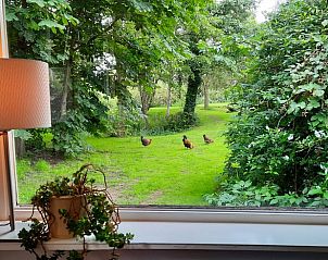 Unterkunft 292315 - Ferienhaus Achterhoek - Vakantiehuis in Harfsen