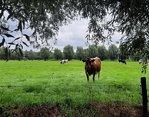 Unterkunft 292315 - Ferienhaus Achterhoek - Vakantiehuis in Harfsen