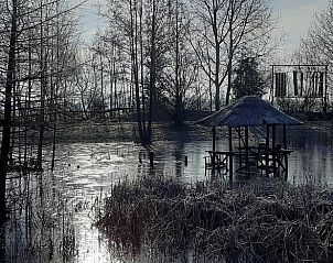 Unterkunft 292315 - Ferienhaus Achterhoek - Vakantiehuis in Harfsen