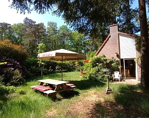 Guest house 292317 - Holiday property Achterhoek - Vakantiehuis in Harfsen