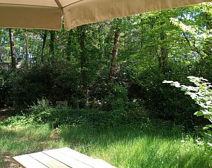 Guest house 292317 - Holiday property Achterhoek - Vakantiehuis in Harfsen