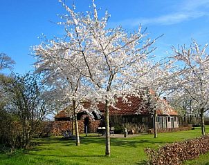 Verblijf 292318 • Vakantiewoning Achterhoek • Vakantiehuis in Harfsen 