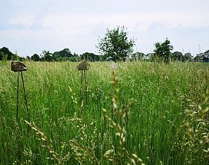 Unterkunft 292318 - Ferienhaus Achterhoek - Vakantiehuis in Harfsen