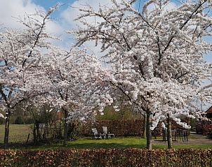 Unterkunft 292318 - Ferienhaus Achterhoek - Vakantiehuis in Harfsen
