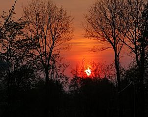 Unterkunft 292318 - Ferienhaus Achterhoek - Vakantiehuis in Harfsen