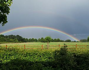 Unterkunft 292318 - Ferienhaus Achterhoek - Vakantiehuis in Harfsen