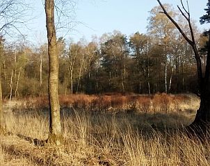 Verblijf 292319 - Vakantiewoning Achterhoek - Vakantiehuisje in Harfsen