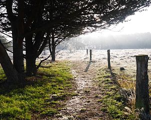 Unterkunft 292322 - Ferienhaus Achterhoek - Huisje in Harfsen