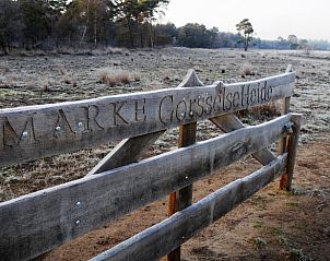 Unterkunft 292322 - Ferienhaus Achterhoek - Huisje in Harfsen