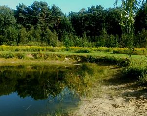 Unterkunft 292322 - Ferienhaus Achterhoek - Huisje in Harfsen