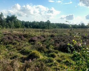 Unterkunft 292322 - Ferienhaus Achterhoek - Huisje in Harfsen