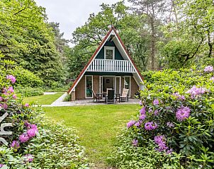 Guest house 292323 - Holiday property Achterhoek - DG253