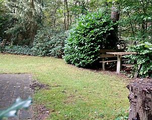 Guest house 292324 - Bungalow Achterhoek - Relaxen in het bos aan de hei - 152