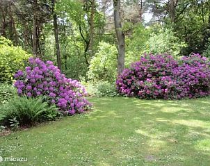 Verblijf 292348 - Bungalow Achterhoek - Heerlijk midden in de natuur! (102)