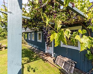 Unterkunft 292403 - Ferienhaus Achterhoek - Vakantiehuisje in Doesburg
