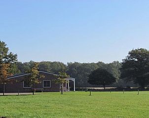Uitzicht op het groene landschap rondom Vakantiehuis in Didam, een rustgevende plek in de Achterhoek, Gelderland.