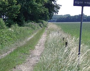 Landelijk pad nabij Vakantiehuis in Didam, ideaal voor wandelingen in de serene natuur van de Achterhoek, Gelderland.