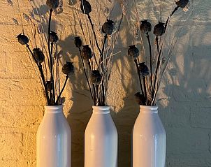 Guest house 292903 - Holiday property Achterhoek - Vakantiehuisje in Hummelo