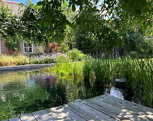 Groene omgeving bij Vakantiehuis in Hummelo, Achterhoek, Gelderland.