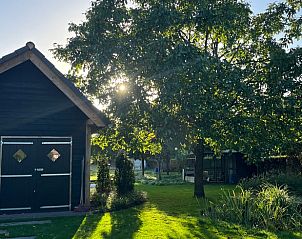 Zonovergoten tuin bij Vakantiehuis in Hummelo, Achterhoek.